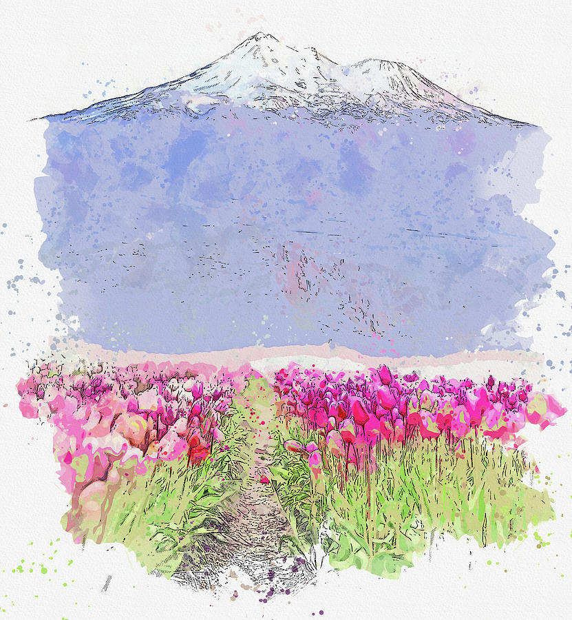 Alpine Flowers field watercolor by Ahmet Asar Painting by Celestial Images
