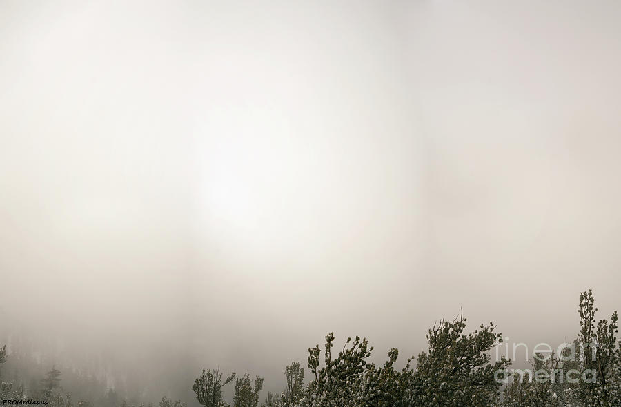 Alpine Fog Photograph by PROMedias US