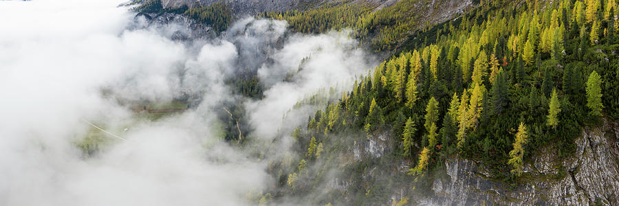 Alpine Forest mist Photograph by Sonny Ryse