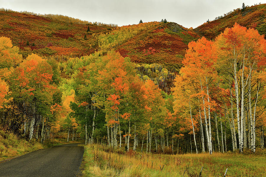 Alpine Loop Fall Colors 1 Photograph by Dean Hueber Pixels