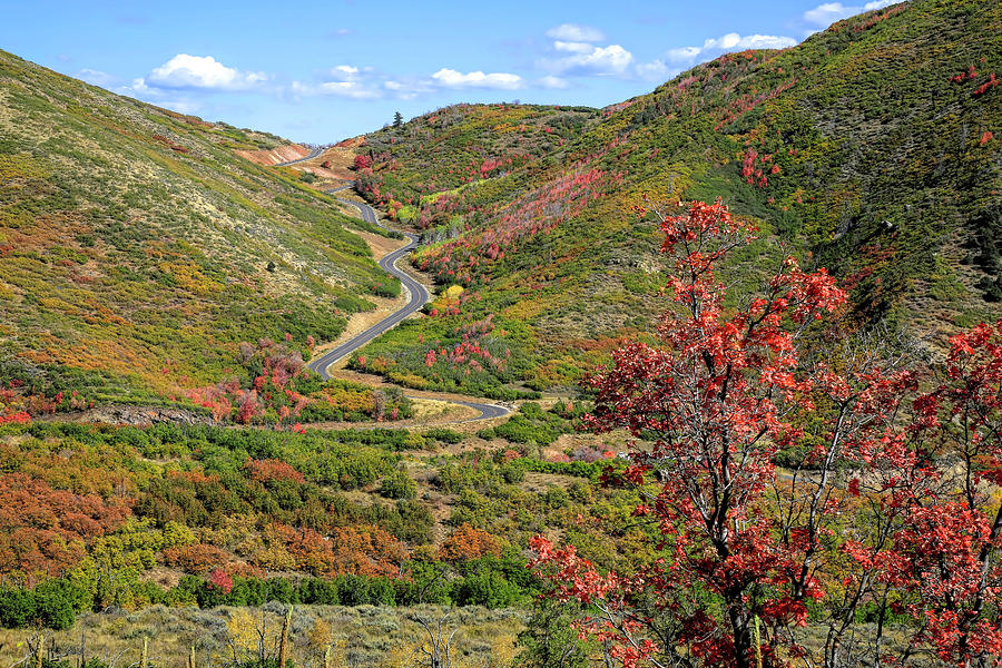Scenic Provo Canyon Photograph by Donna Kennedy