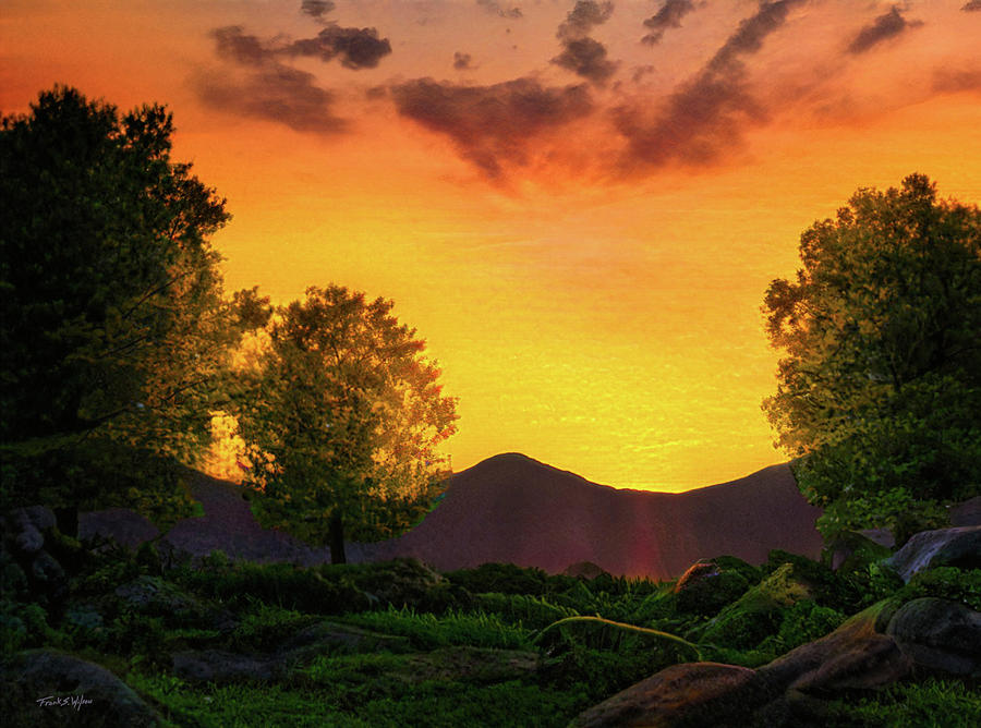 Alpine Meadow At Sunset D Digital Art by Frank Wilson