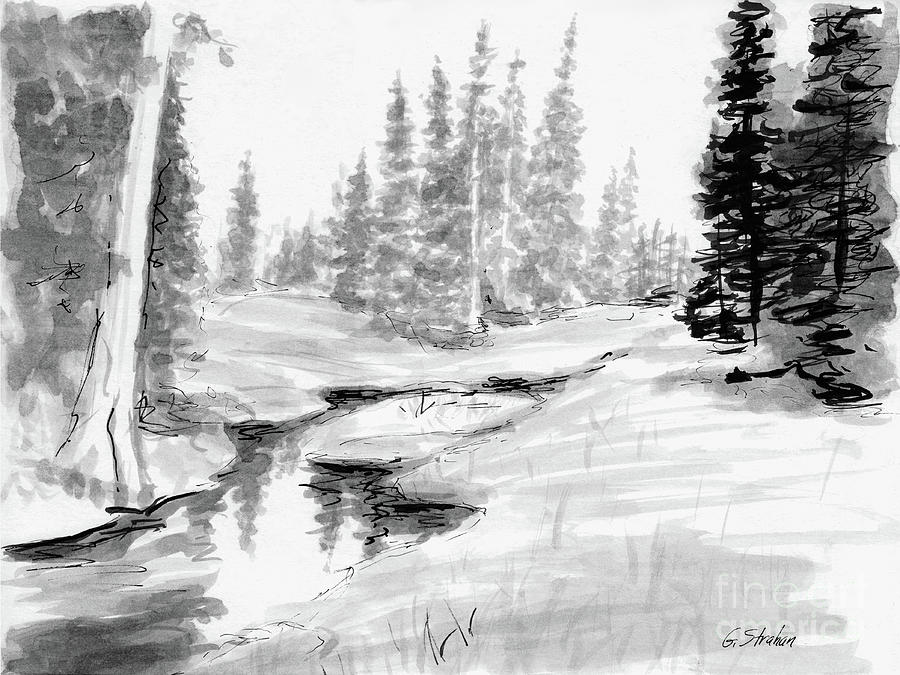 Black And White Painting - Alpine Meadow by Gary Strahan