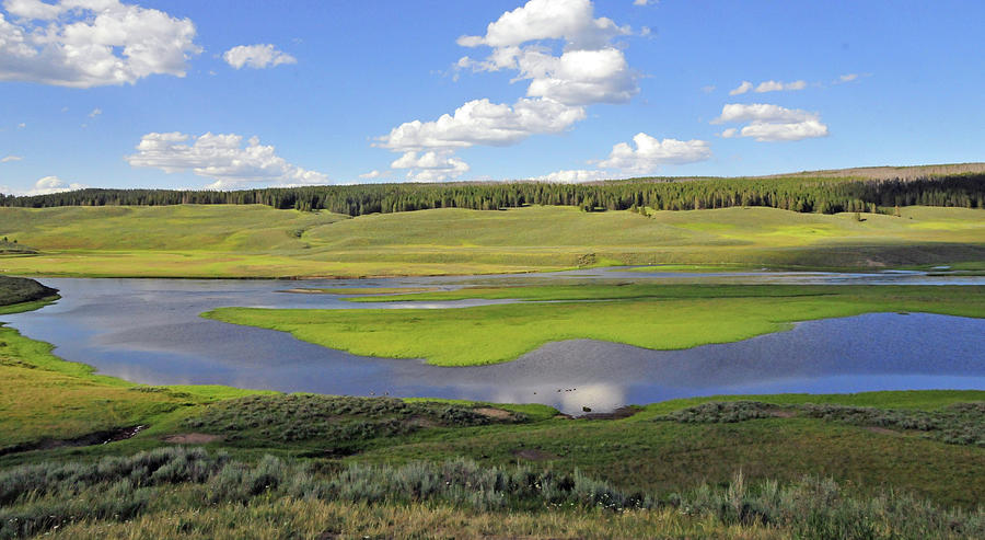 Alpine Meadow with lake-Yellowstone Wyoming Photograph by William ...