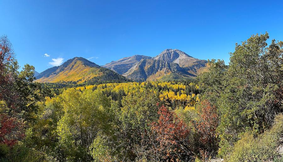 Alpine Scenic Loop Photograph by Michael Hutsenpiller - Fine Art America