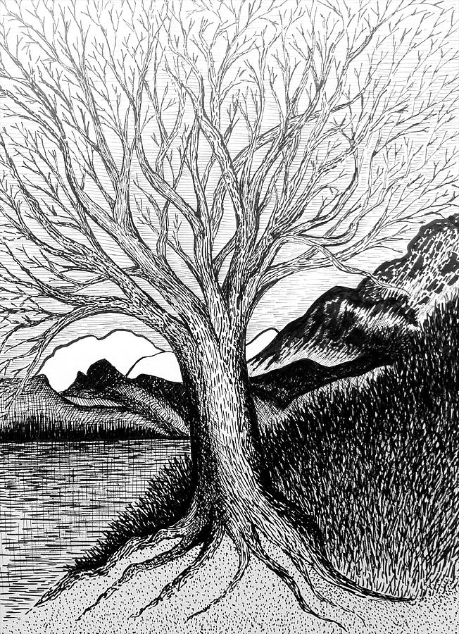 Alpine Serenity Drawing by Polly Castor
