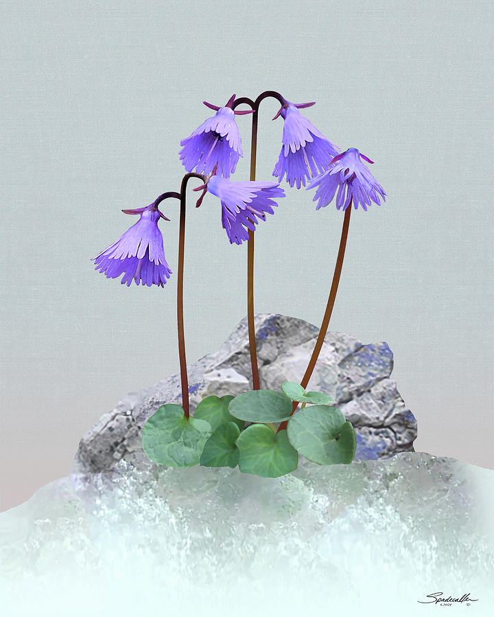 Alpine Snowbells Digital Art by M Spadecaller