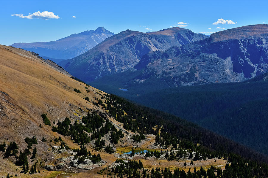 Alpine Tundra Rocky Mountains Photograph by Kyle Hanson