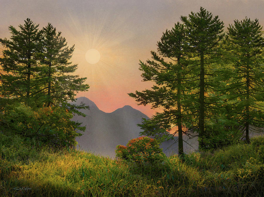 Alpine View D Digital Art by Frank Wilson