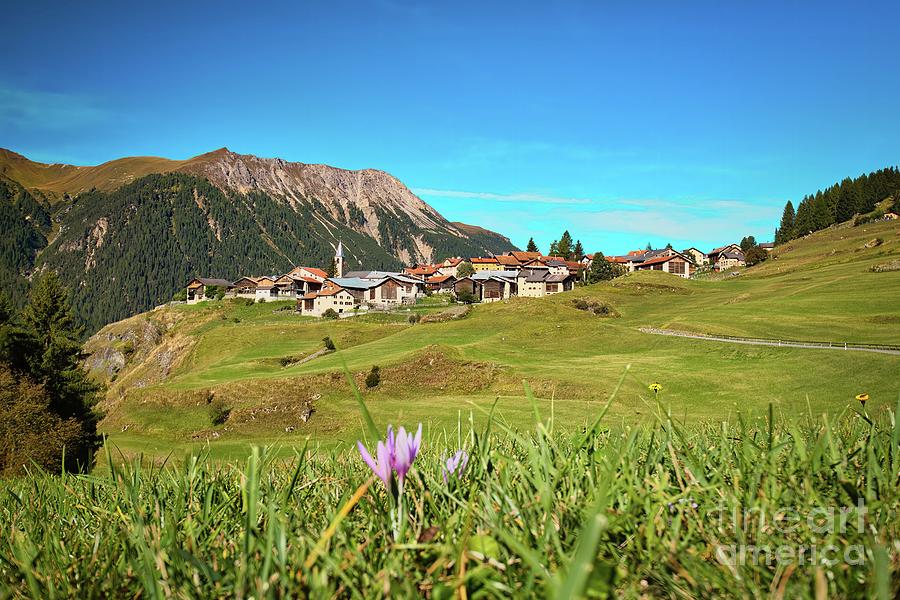 Alpine village Latsch Photograph by Thomas Nay