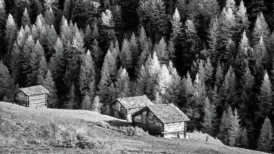 Alpine Village Scene Photograph