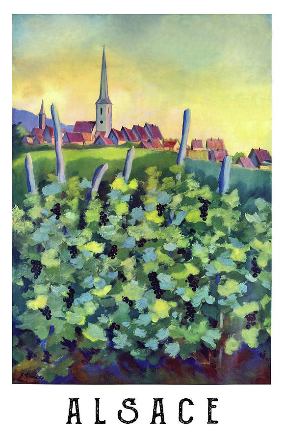 Alsace Vineyard Digital Art by Long Shot