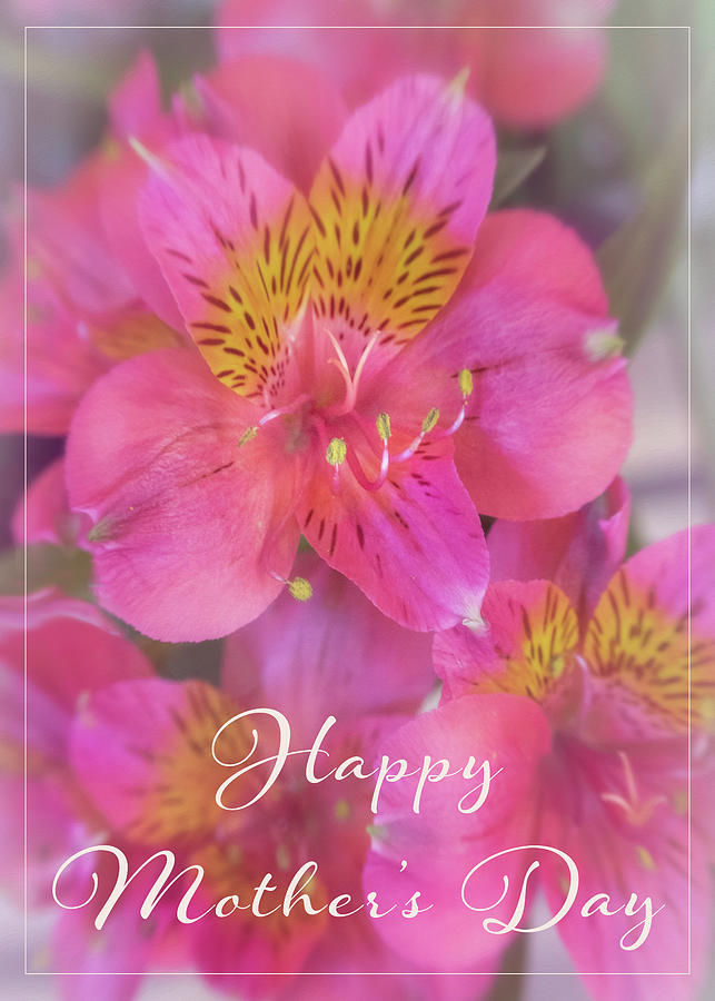 Alstroemeria - Mothers Day Photograph by Teresa Wilson