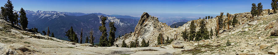 Alta Peak Vista Photograph by Brett Harvey