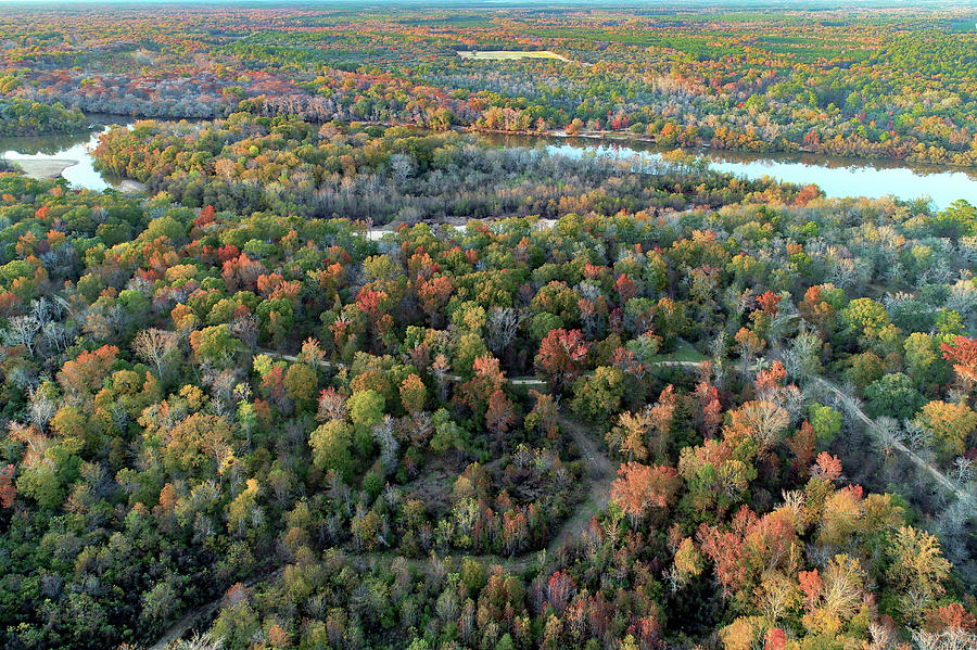 Altamaha Fall by Kenny Nobles Altamaha Fall by Kenny Nobles