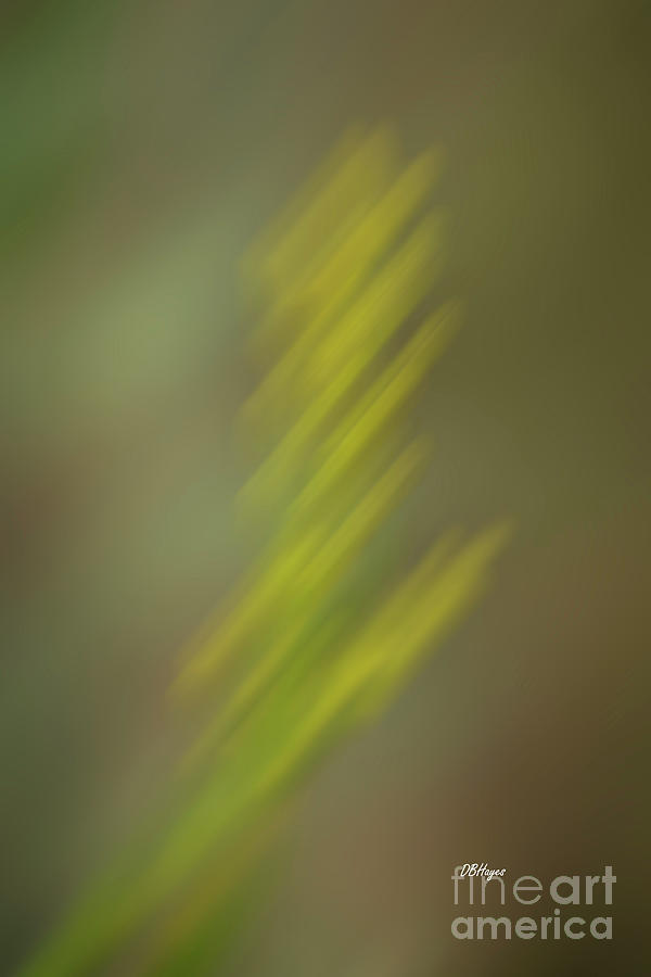 Altered Reality 26 - Wildflower ICM Impressionistic Art Photograph by DB Hayes