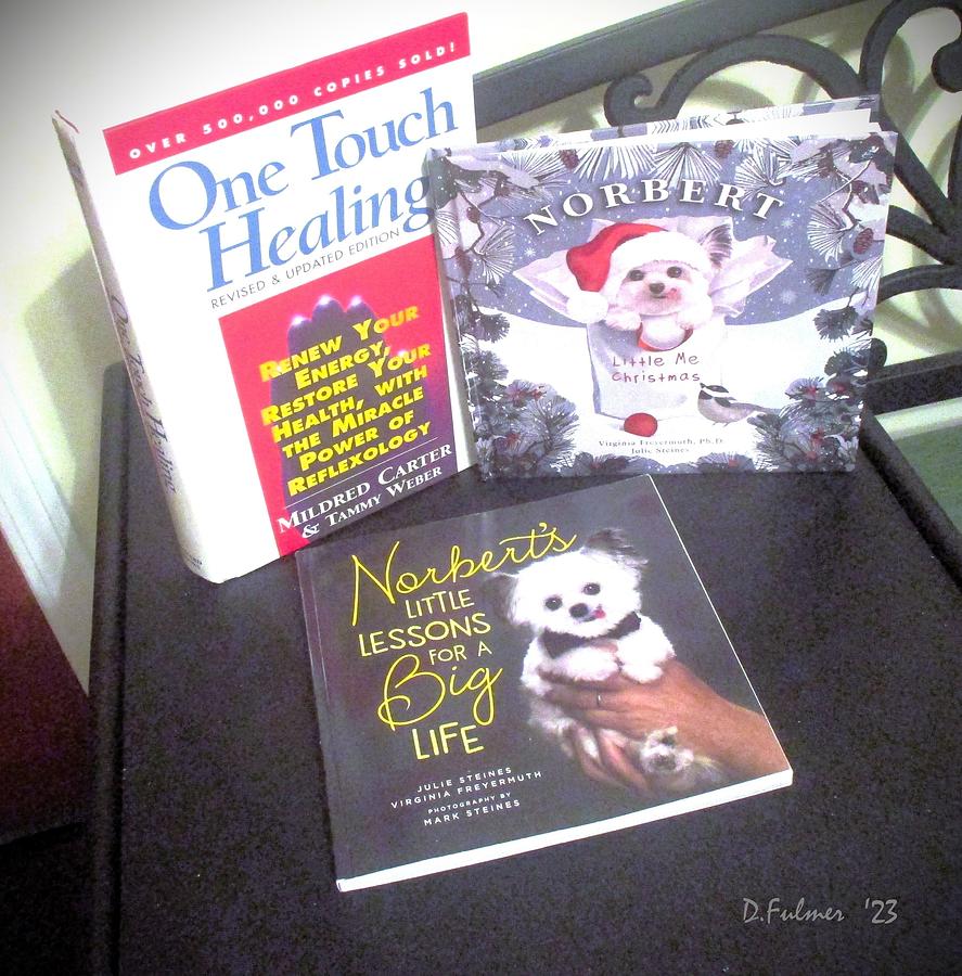 From my library  ALTERNATIVE HEALING BOOKS PAST AND PRESENT Photograph by Denise F Fulmer