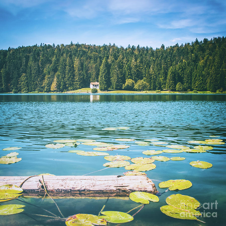Nature Photograph - Altitude french Genin lake in forest in summer in Jura mountains by Gregory DUBUS