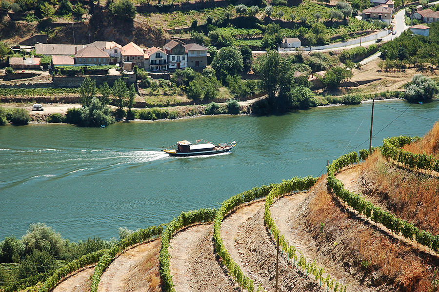 Alto Douro, Port Wine region Photograph by Abeleao
