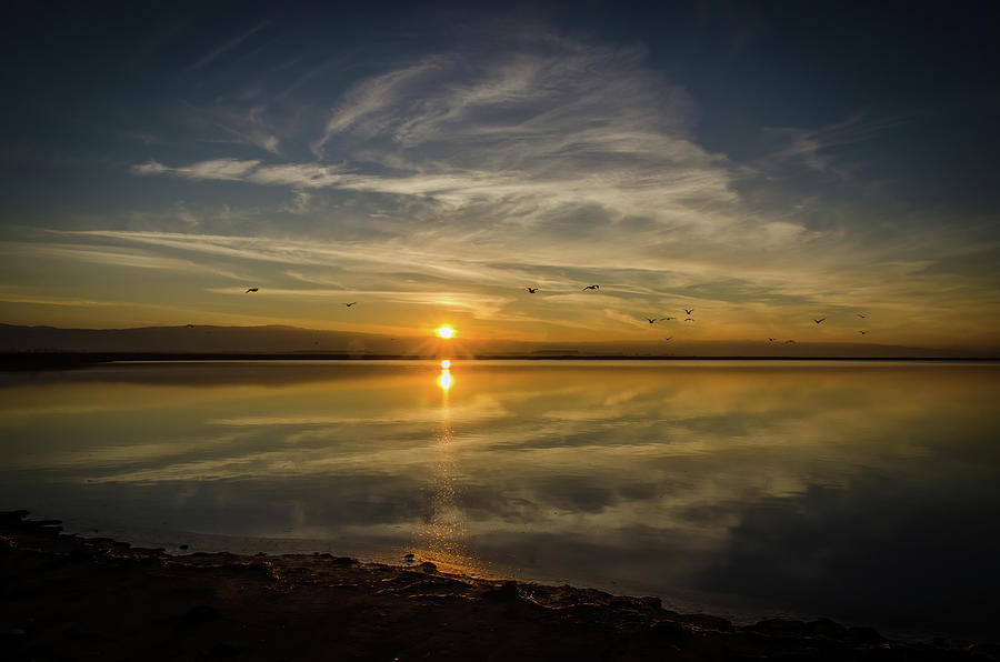 Alvisio Bay Sunset Photograph by David R Robinson