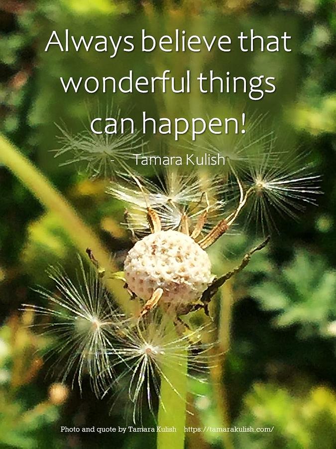 Always believe that wonderful things can happen Photograph by Tamara Kulish