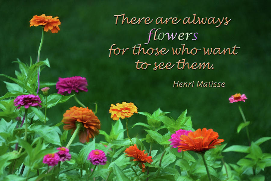 Henri Matisse Photograph - Always Flowers - Zinnias - Gardens by Nikolyn McDonald