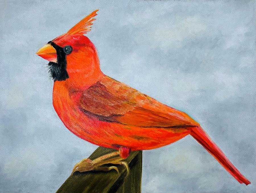Cardinal Pastel - Always. by Laura Shearer