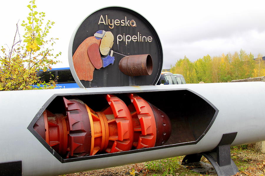Alyeska Pipeline Photograph by Fiona Kennard