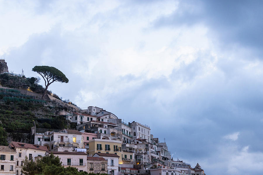 Amalfi Coastline with tree and houses morning  Photograph by John McGraw