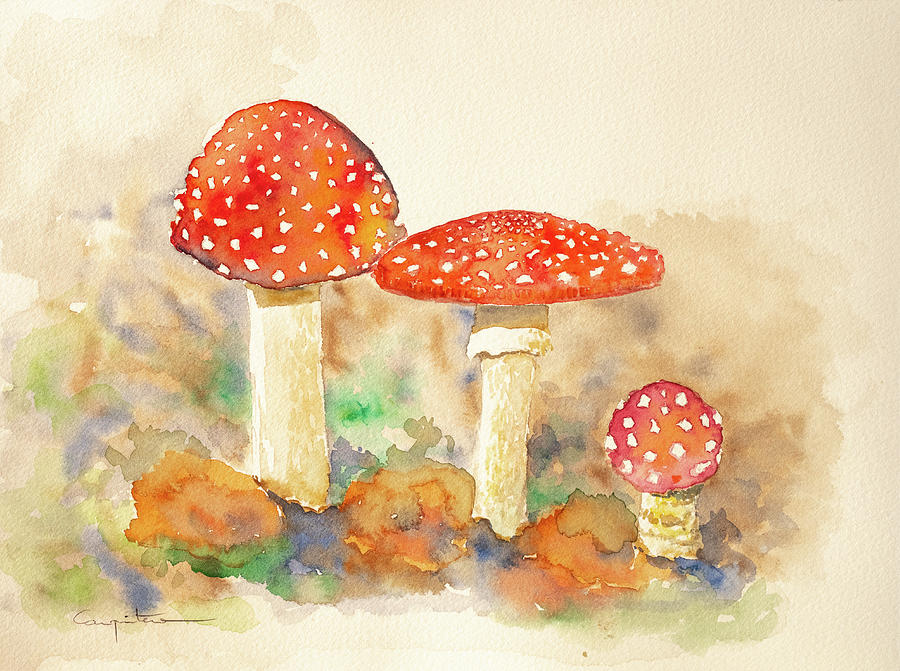 Amanita muscaria Painting by Eduardo Carpintero Garcia - Fine Art America