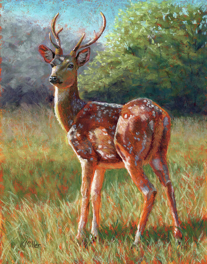 Amar-Chital Deer Pastel by Kathie Miller