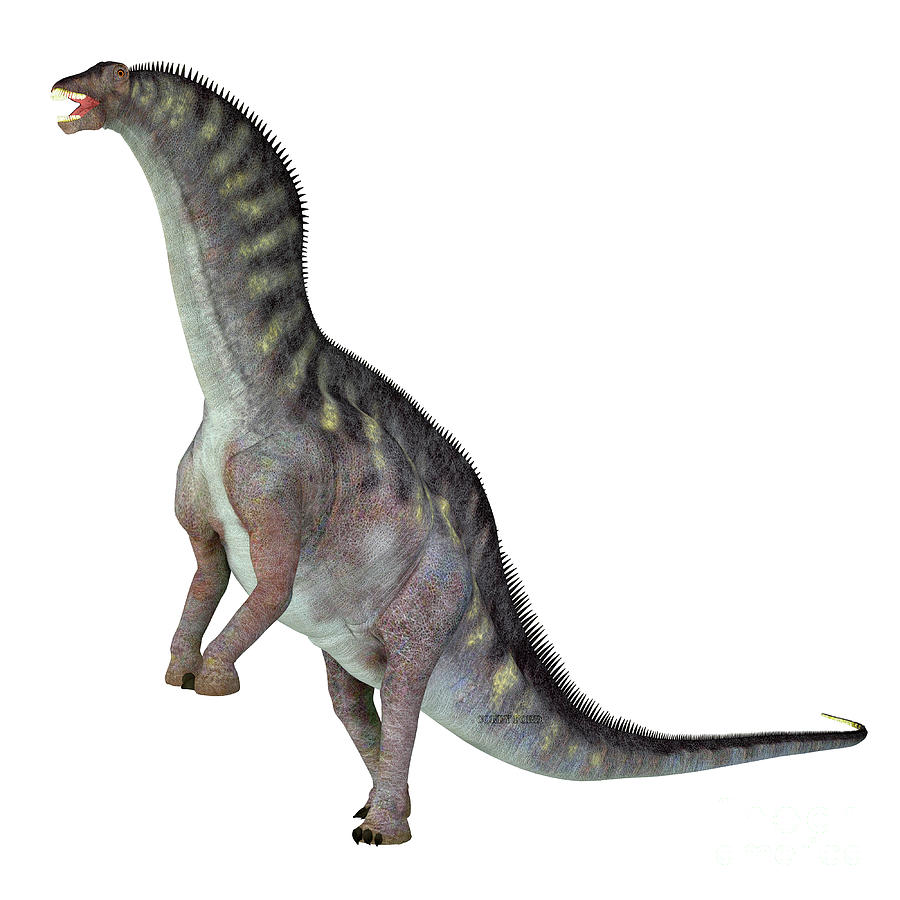 Amargasaurus cazaui Dinosaur Digital Art by Corey Ford