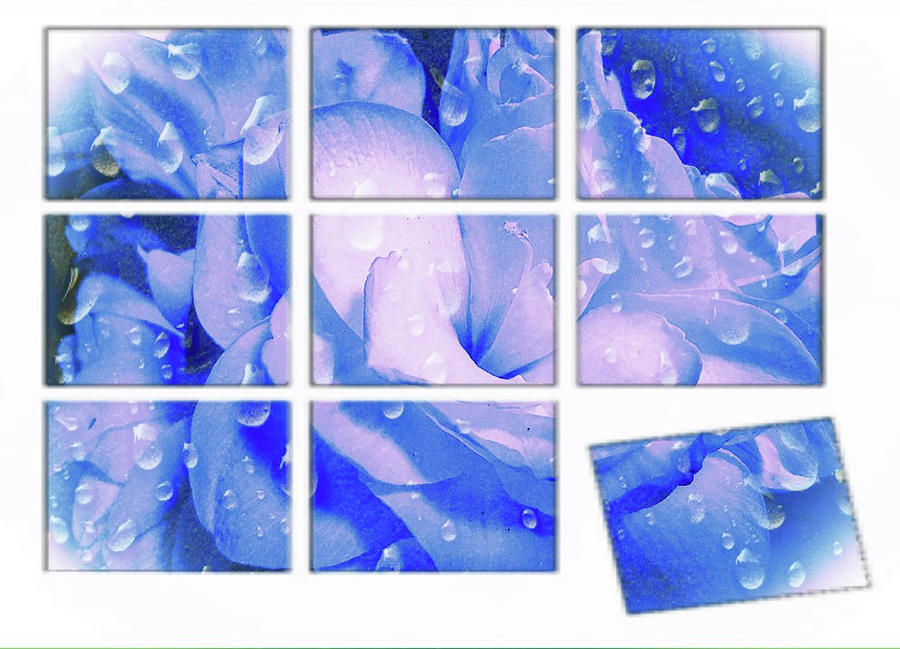Amarilla Blocked In Blue Digital Art