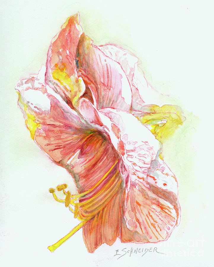 Amaryllis Blossom Painting by Edie Schneider