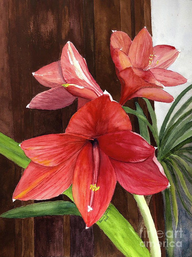 Amaryllis Painting by Bonnie Young