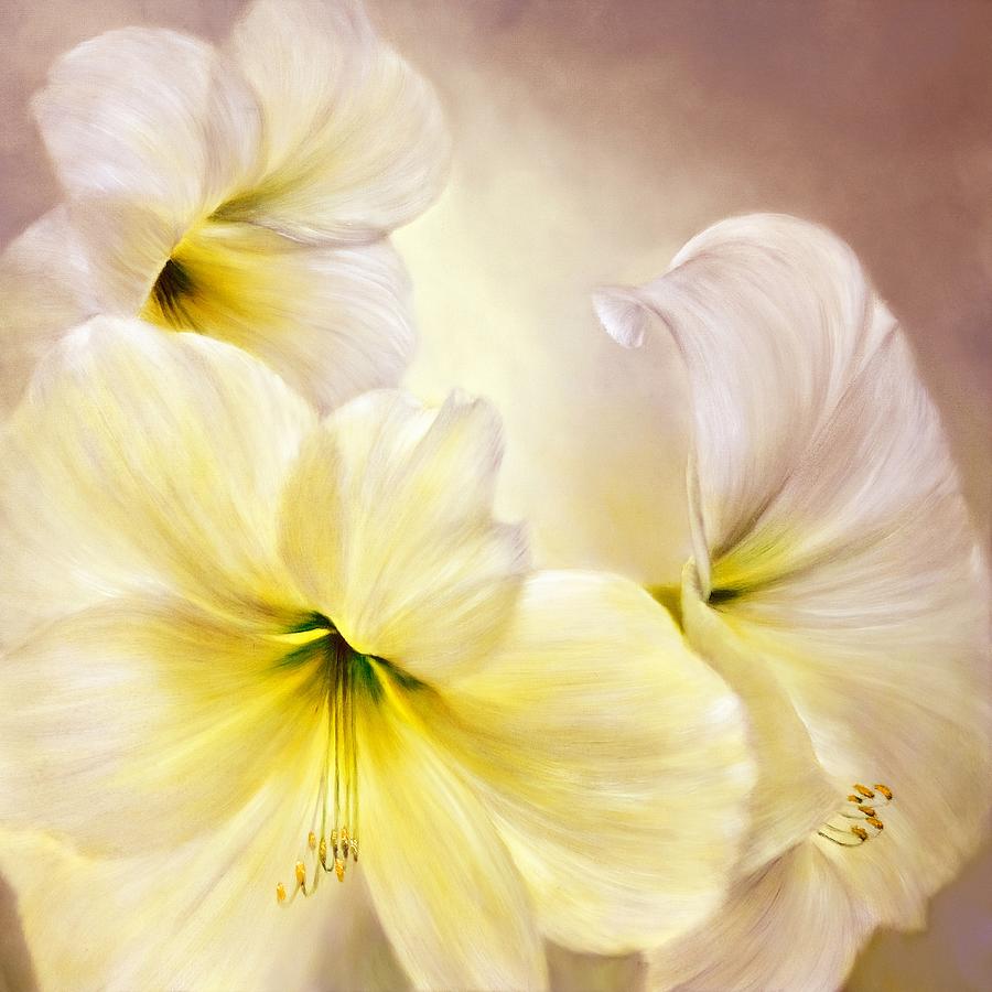 Amaryllis - golden and white Painting by Annette Schmucker