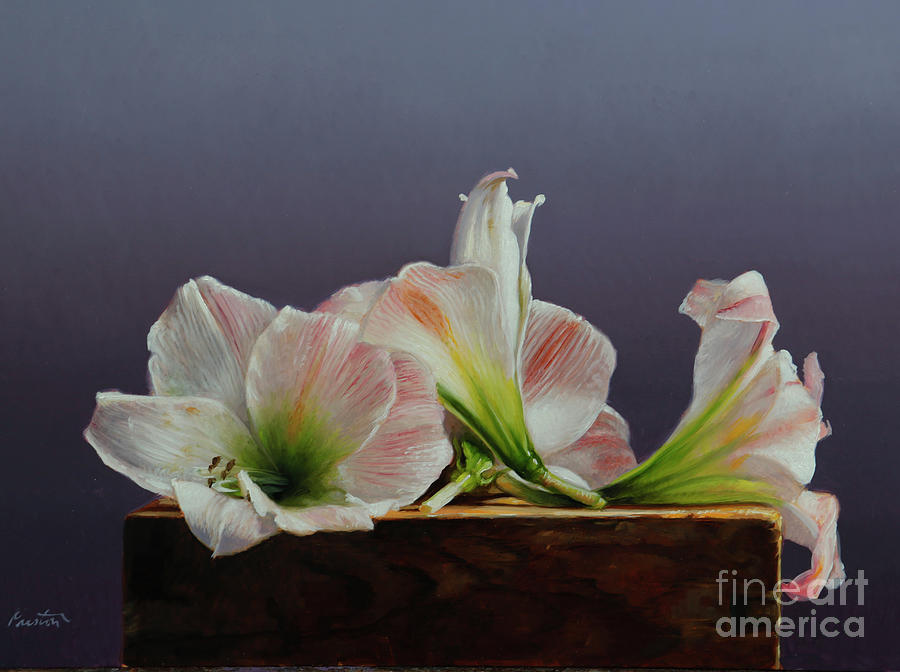 Flower Painting - Amaryllis On A Box by Lawrence Preston