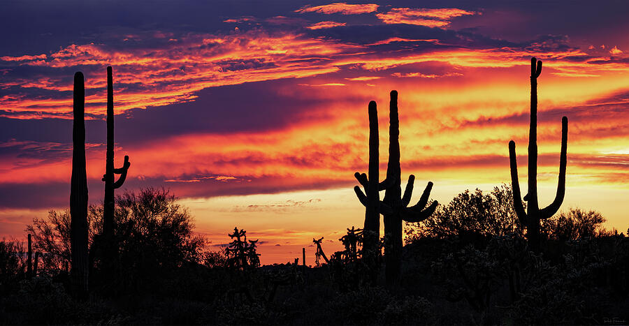 Amazing Arizona Sunsets Photograph by Rick Furmanek