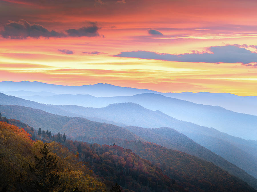 Amazing Autumn Sunrise In Smoky Mountain National Park Photograph by Jordan Hill