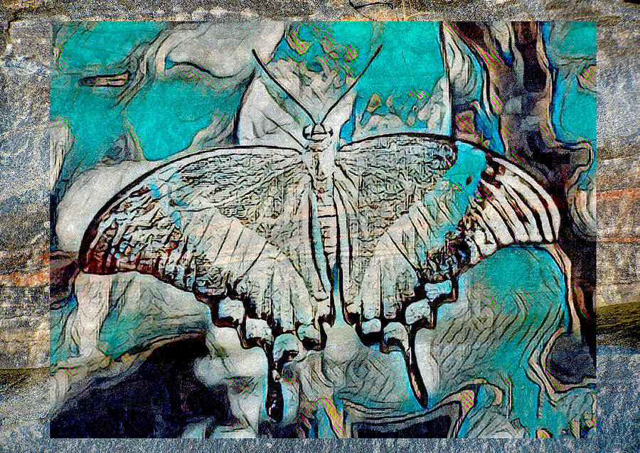 Amazing Butterfly Digital Art by Steven Parker