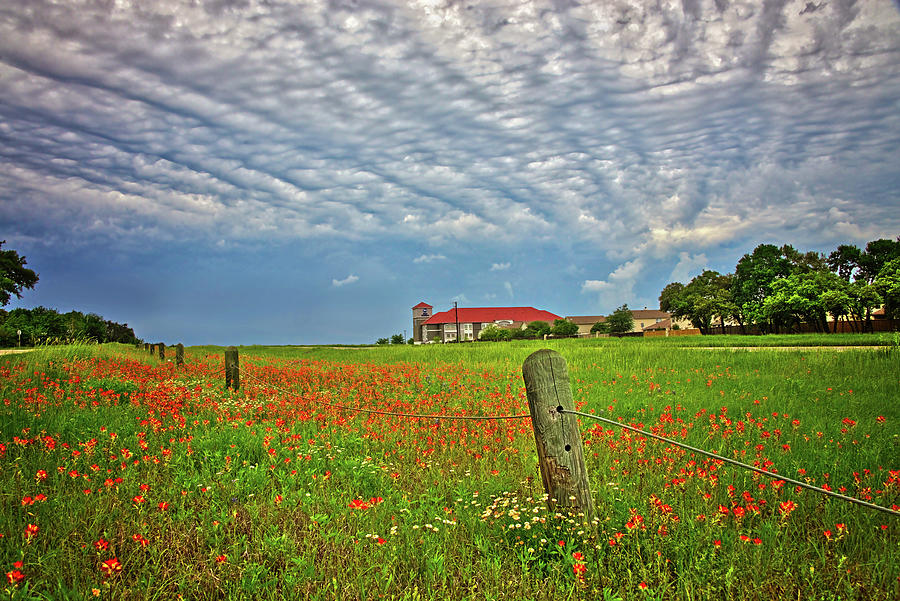 Amazing Clouds and Wildflowers Photograph by Lynn Bauer