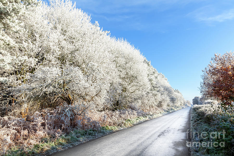Amazing frozen trees on rural icy UK road Photograph by Simon Bratt
