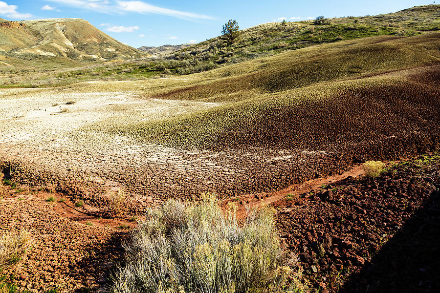 Amazing Painted Hills Photograph