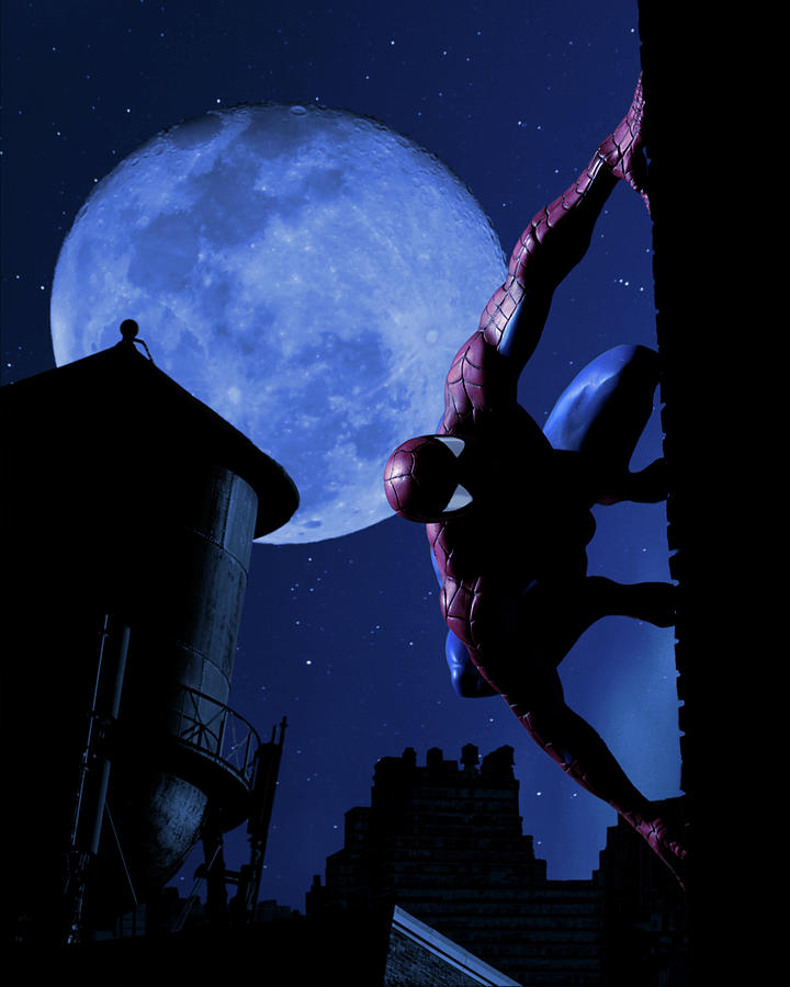 Amazing Spider-Man No. 521 Cover Photograph by Blindzider Photography