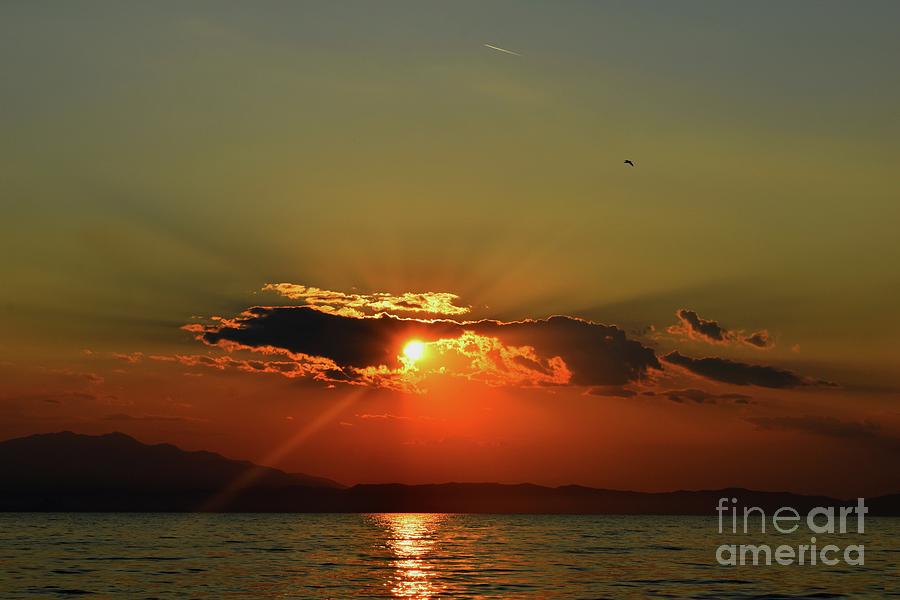 Amazing Sunset Photograph by Leonida Arte