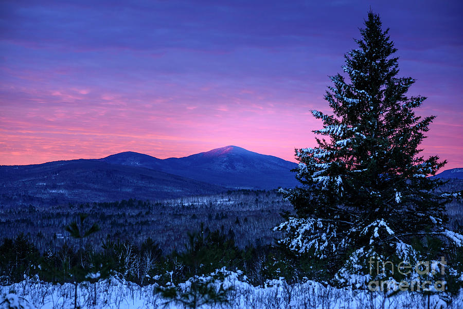 Amazing Winter in Maine Photograph by Alana Ranney