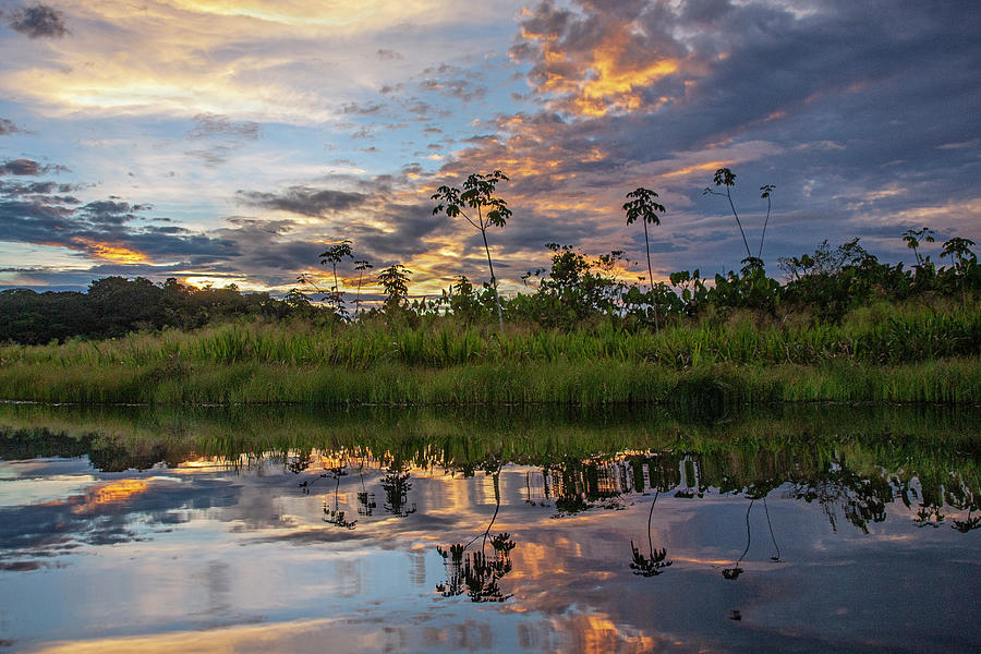 Amazon in Ecuador at Dusk Photograph by Matthew Bamberg