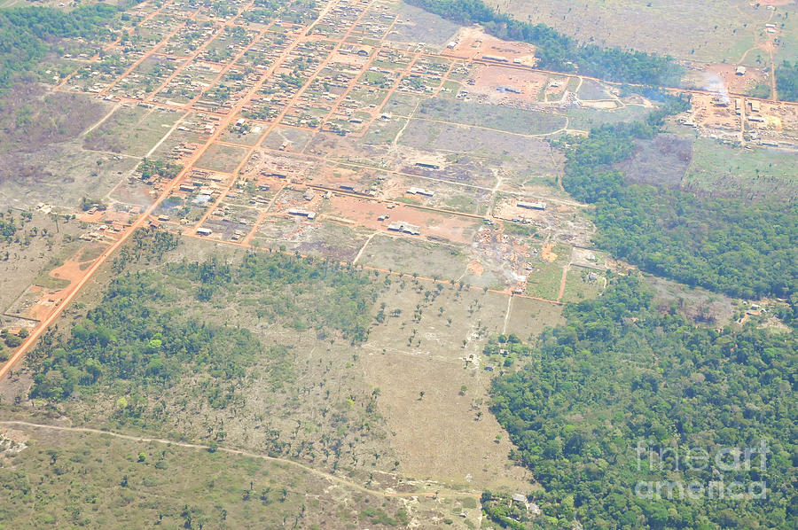 Amazon rainforest aerial view e1 Photograph by Shay Levy