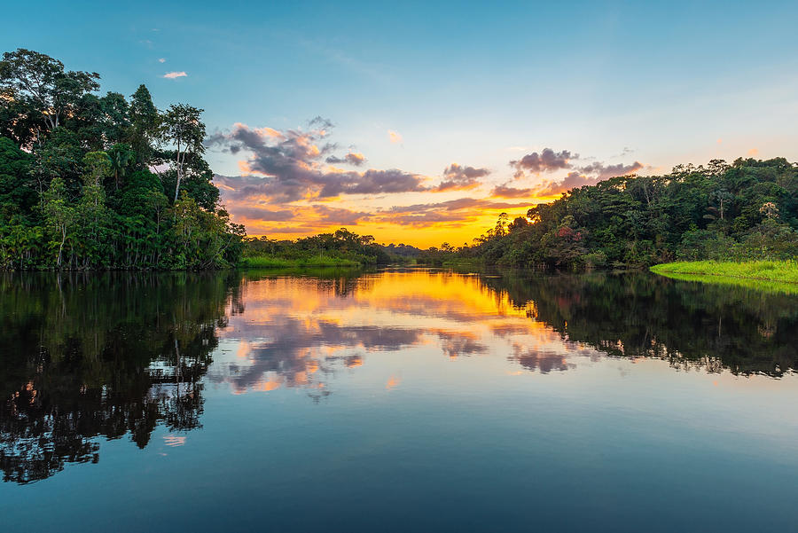 Amazon River Rainforest Photograph by SL_Photography
