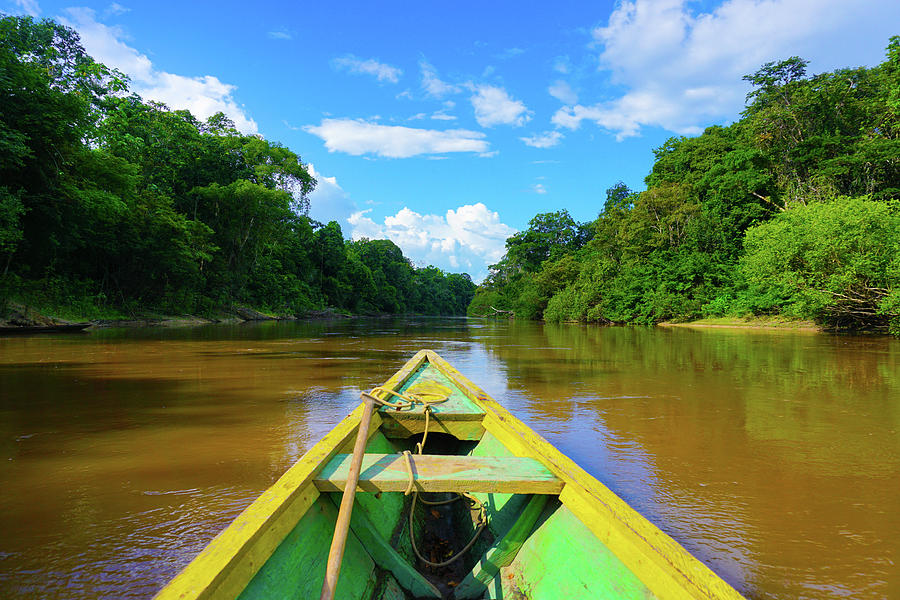 Amazonas River Photograph by Cassidy Shaw - Fine Art America